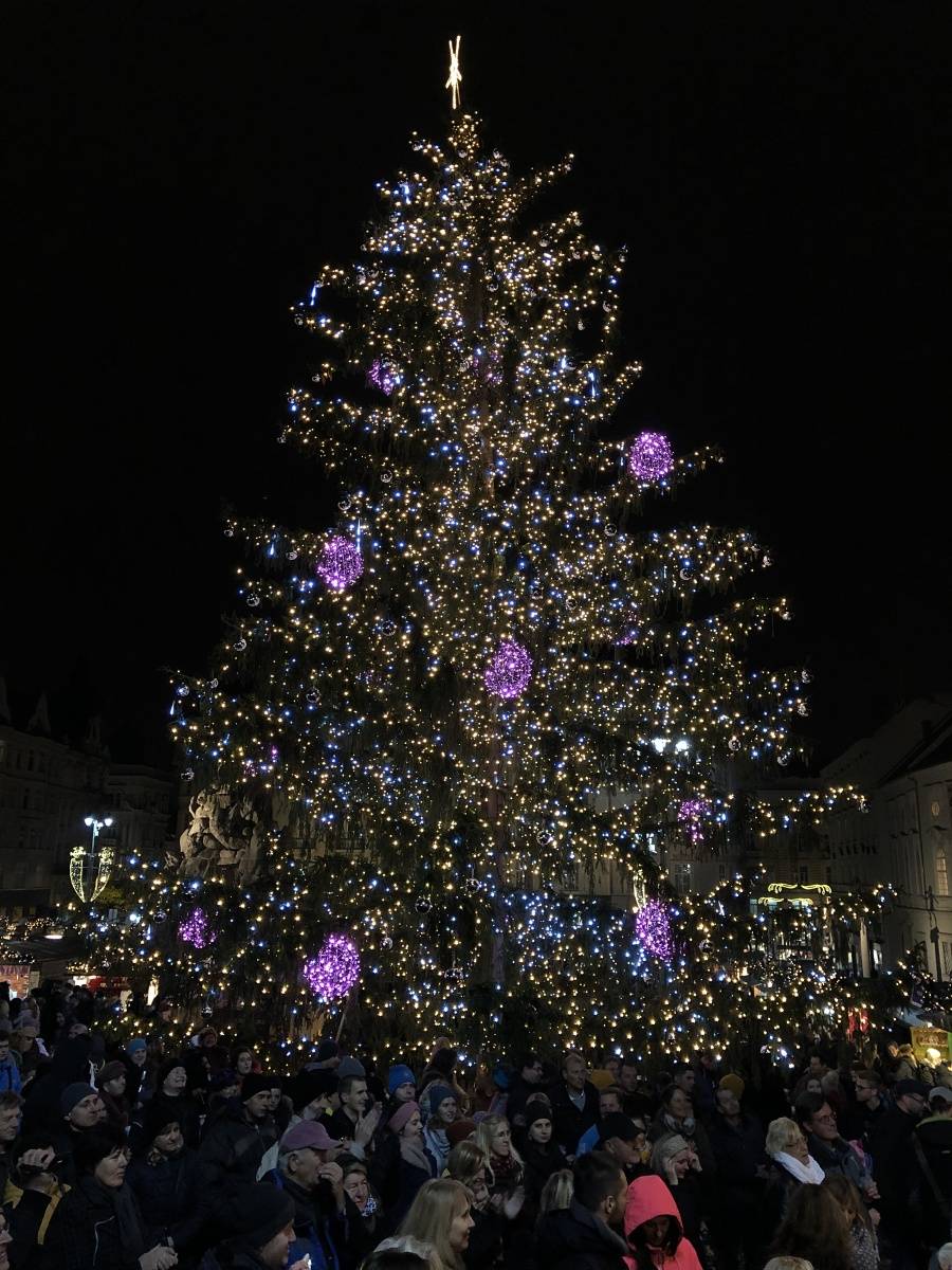 vánoce na zelňáku v brně 23. 11. 2018
